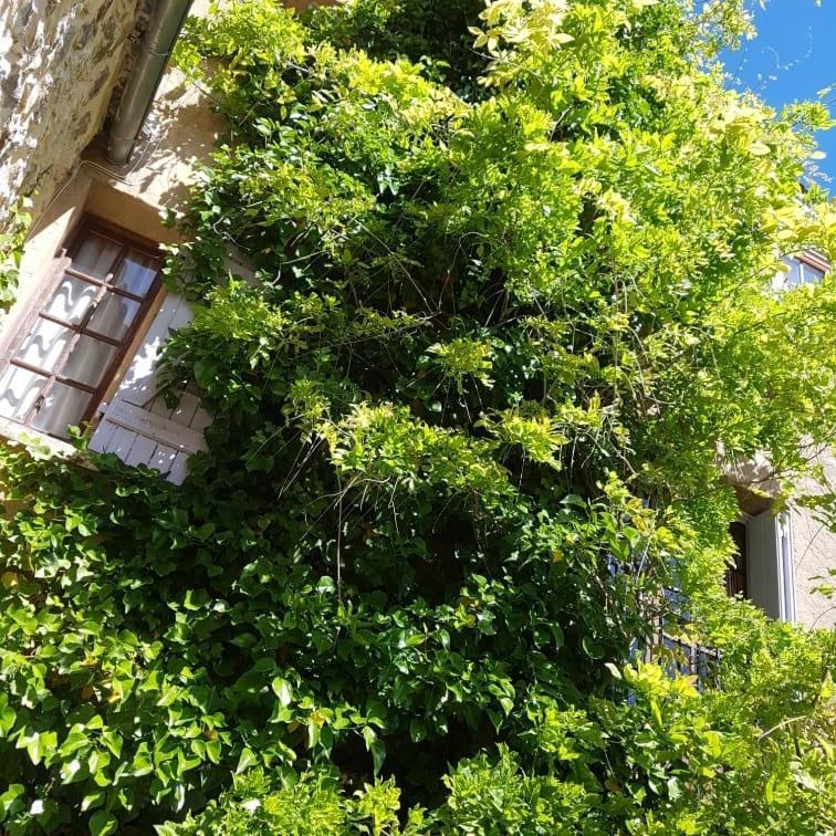 Hébergement de vacances Le Chateau